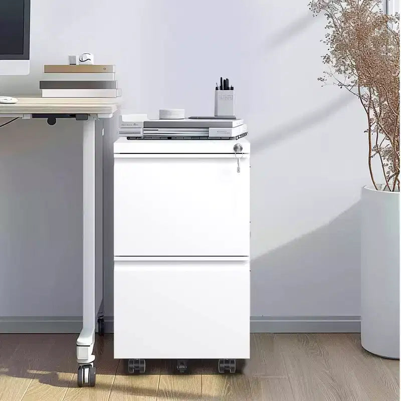 2 Drawer Mobile File Cabinet with Lock, Commercial Vertical Cabinet, Under Desk Storage Cabinet with 5 Wheels & Embedded Handle