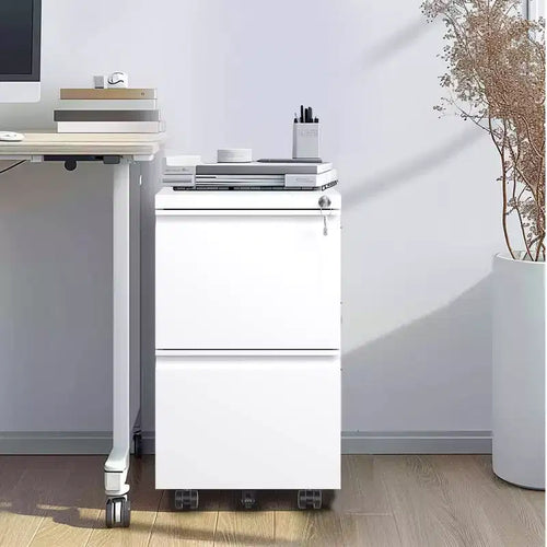 2 Drawer Mobile File Cabinet with Lock, Commercial Vertical Cabinet, Under Desk Storage Cabinet with 5 Wheels & Embedded Handle